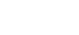 INSIGNIA